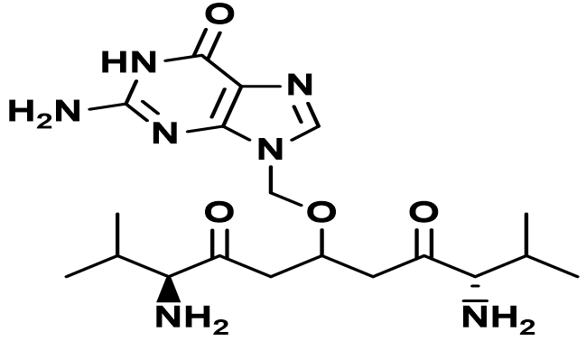 Valganciclovir USP RC F / Ganciclovir Bis-Valine Ester